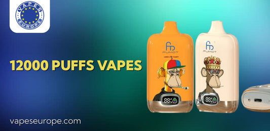 beste puff marken europa 2025 - Top Rechargeable Puff Brands in Europe for 2025: A Comprehensive Guide