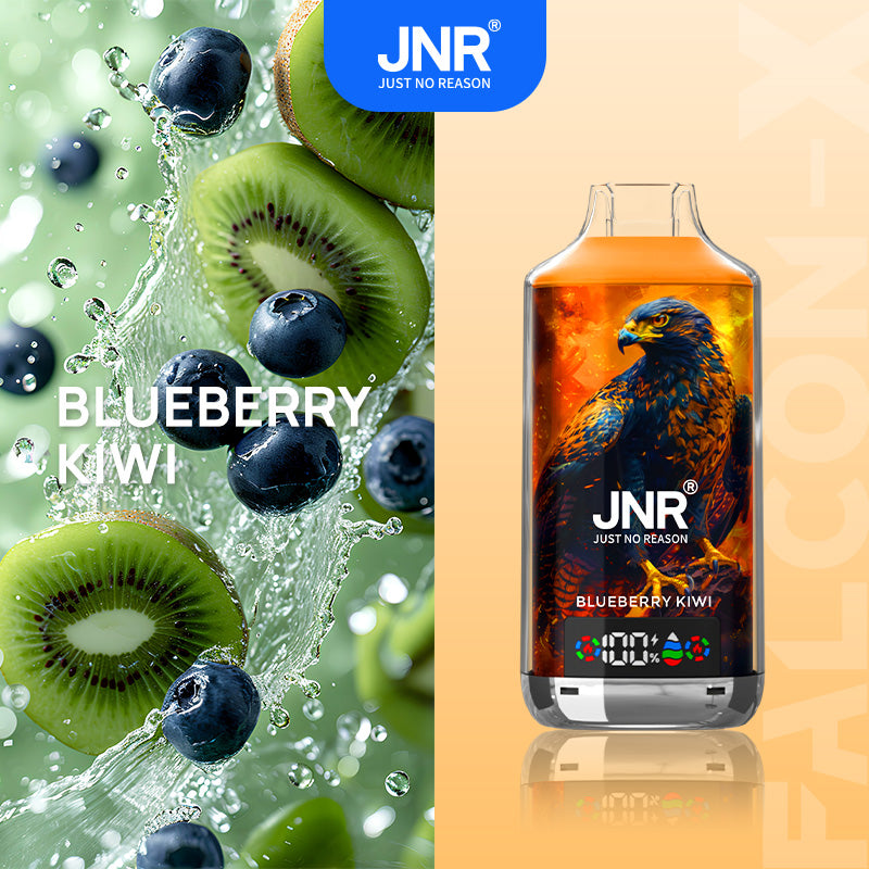 JNR Falcon-X 18000 - Blueberry Kiwi